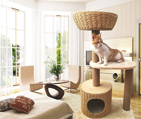 Pets furniture including pets house and pets toys