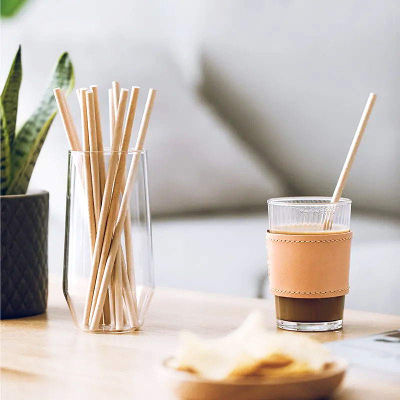 Degradable Series Of Catering Supplies