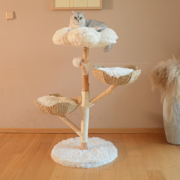 Top 5 luxury cat tree brand made by natural wood
